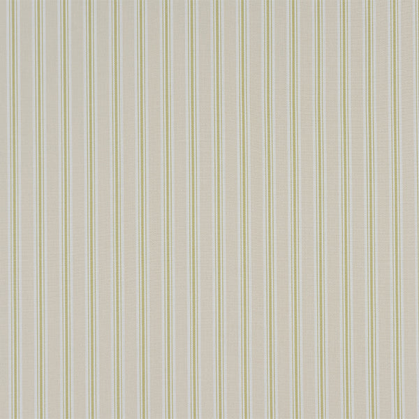 Bay Stripe