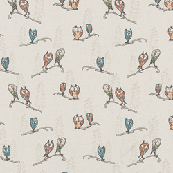Quirky Owls PVC