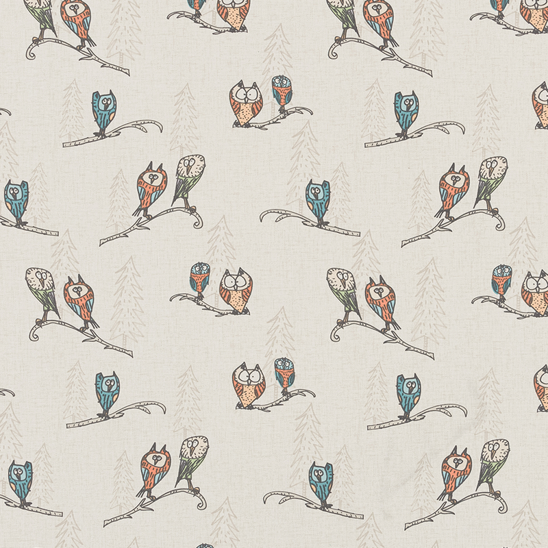 Quirky Owls PVC