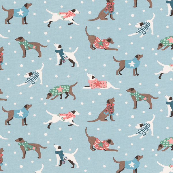 Dapper Dogs PVC